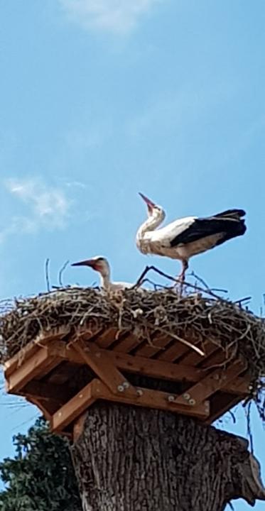 Hof Cafe Storchennest